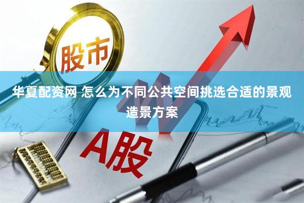 华夏配资网 怎么为不同公共空间挑选合适的景观造景方案