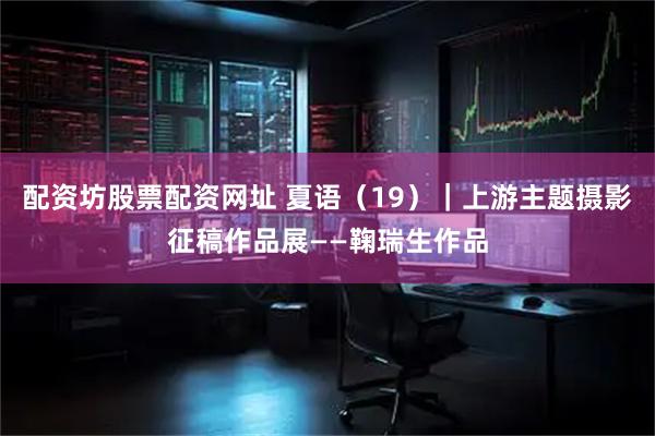 配资坊股票配资网址 夏语（19）｜上游主题摄影征稿作品展——鞠瑞生作品