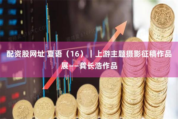 配资股网址 夏语（16）｜上游主题摄影征稿作品展——龚长浩作品